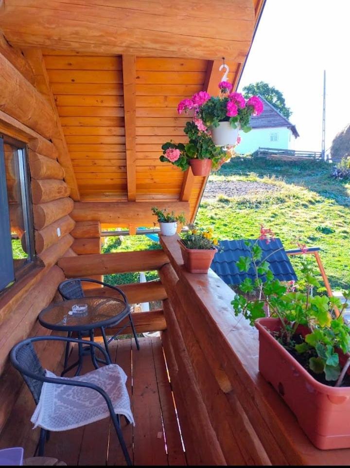 Cabana Colt De Munte Girda de Sus Exterior photo
